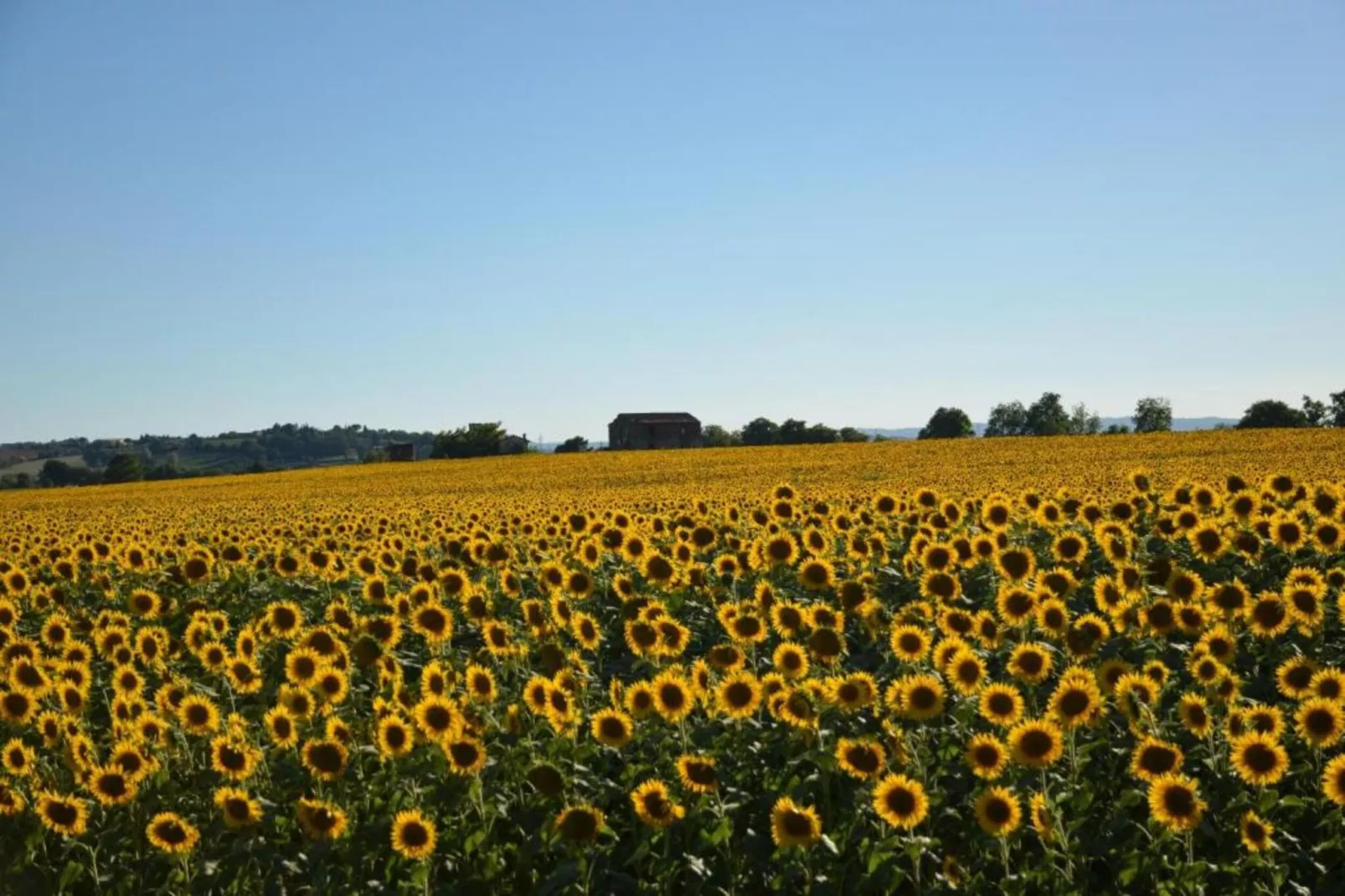 Casale  Valdichiana-Gebieden zomer 20km