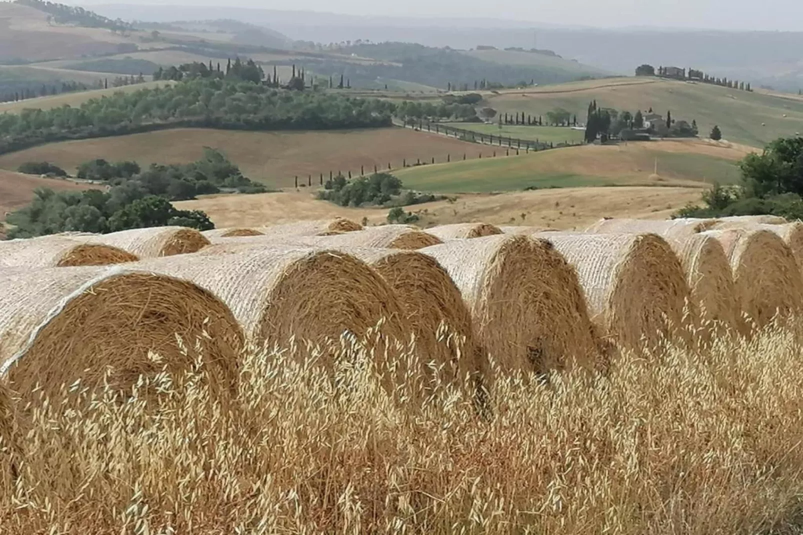 Villa La Felce-Gebieden zomer 5km