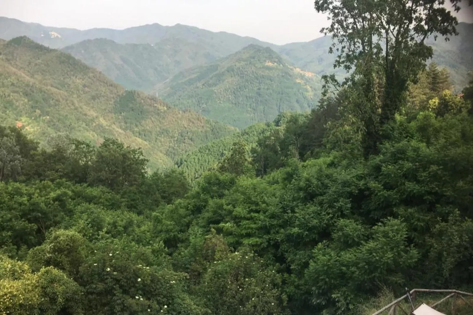 Vignoli-Gebieden zomer 20km