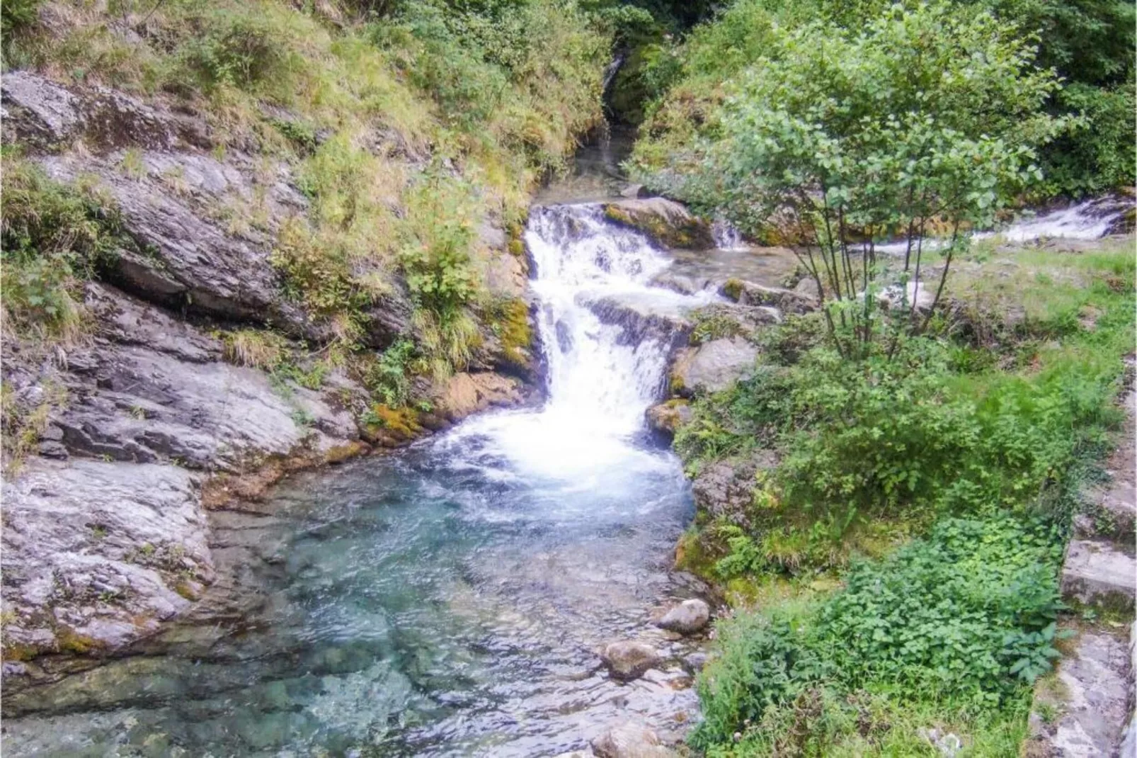 Gelsomino Piccolo-Gebieden zomer 5km