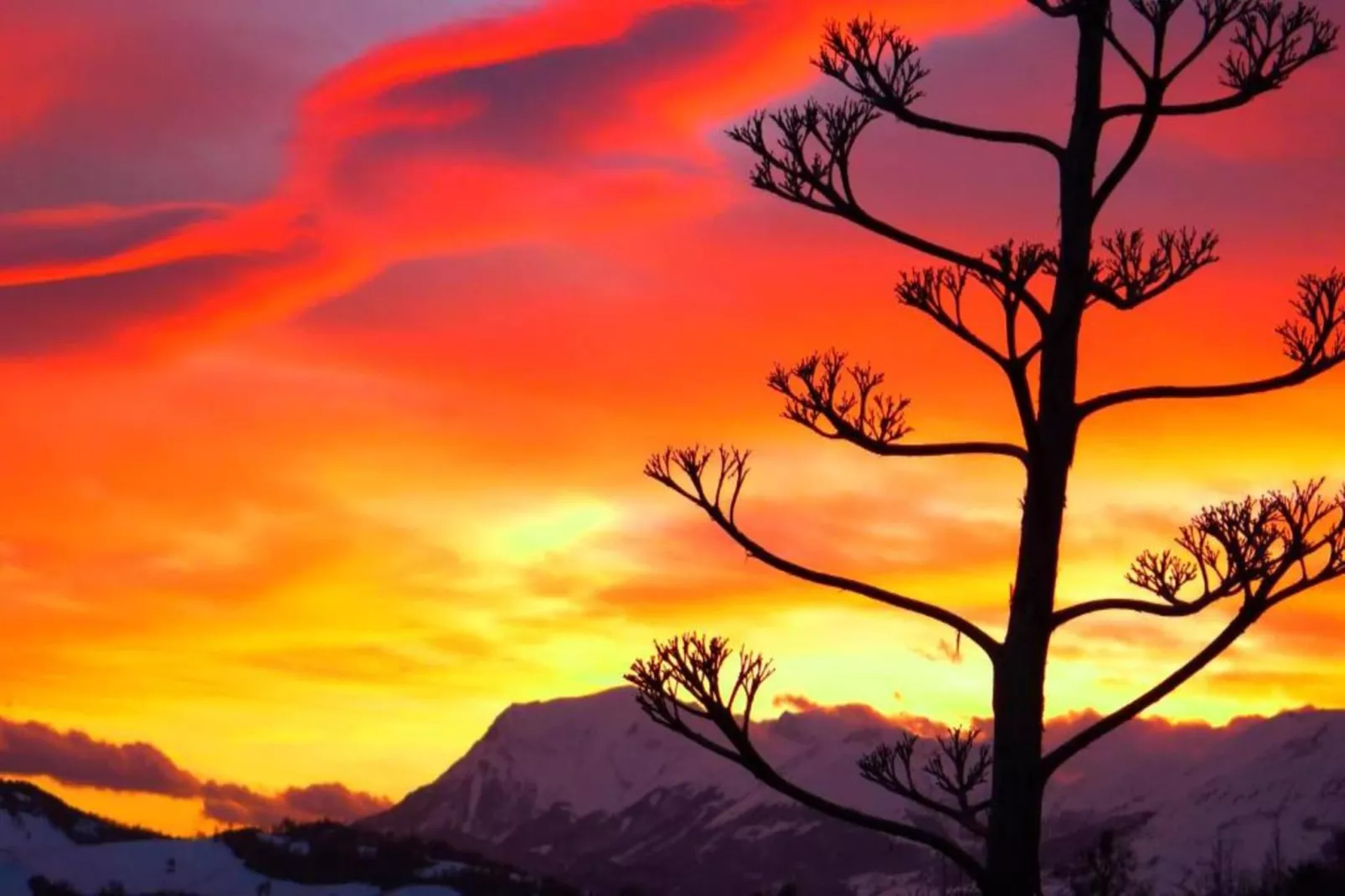 La Sibilla-Gebieden zomer 5km