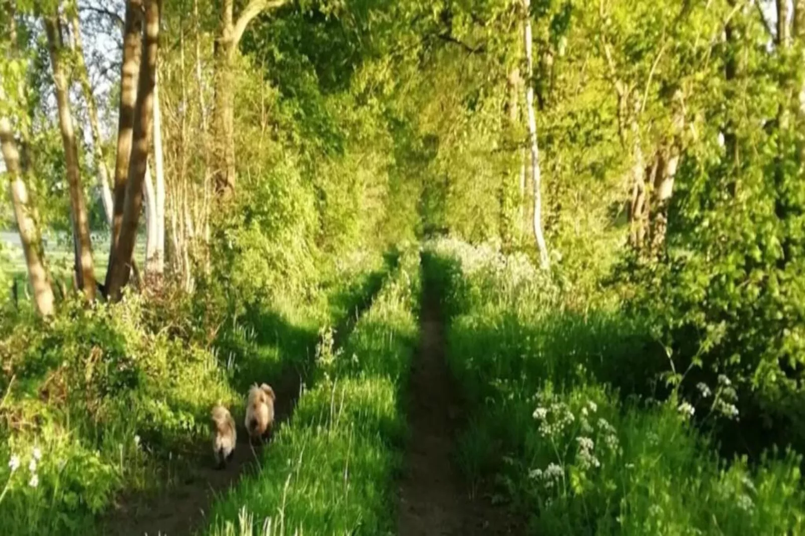 Tuinpad-Gebieden zomer 20km
