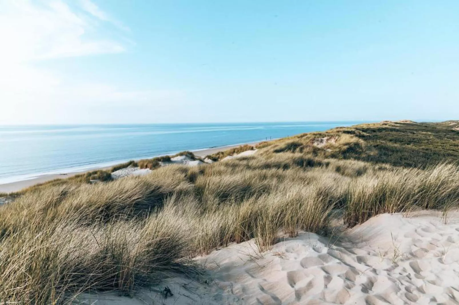 Strandslag 115-Gebieden zomer 20km