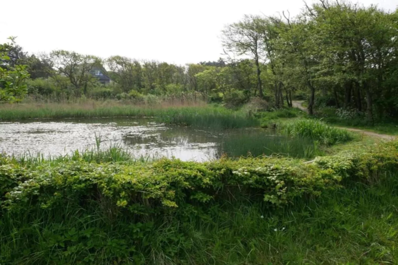 Huize Glory Saffier-Gebieden zomer 20km