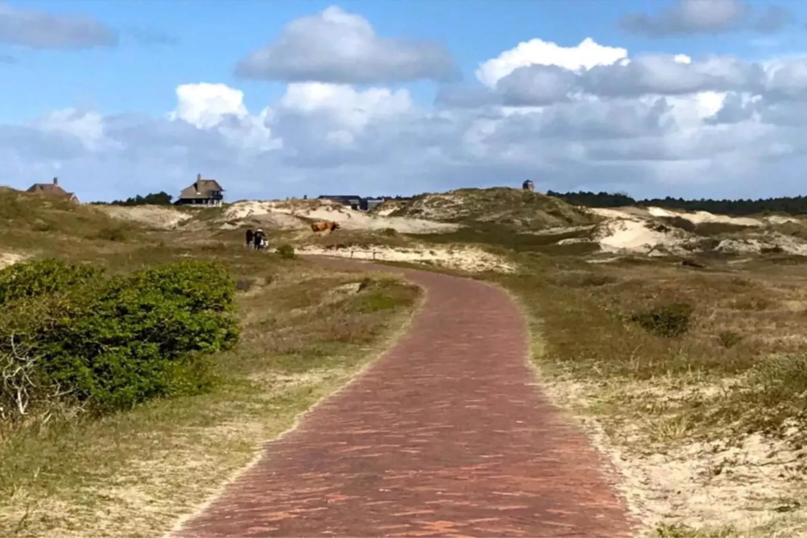 Vier Duinen-Gebieden zomer 20km