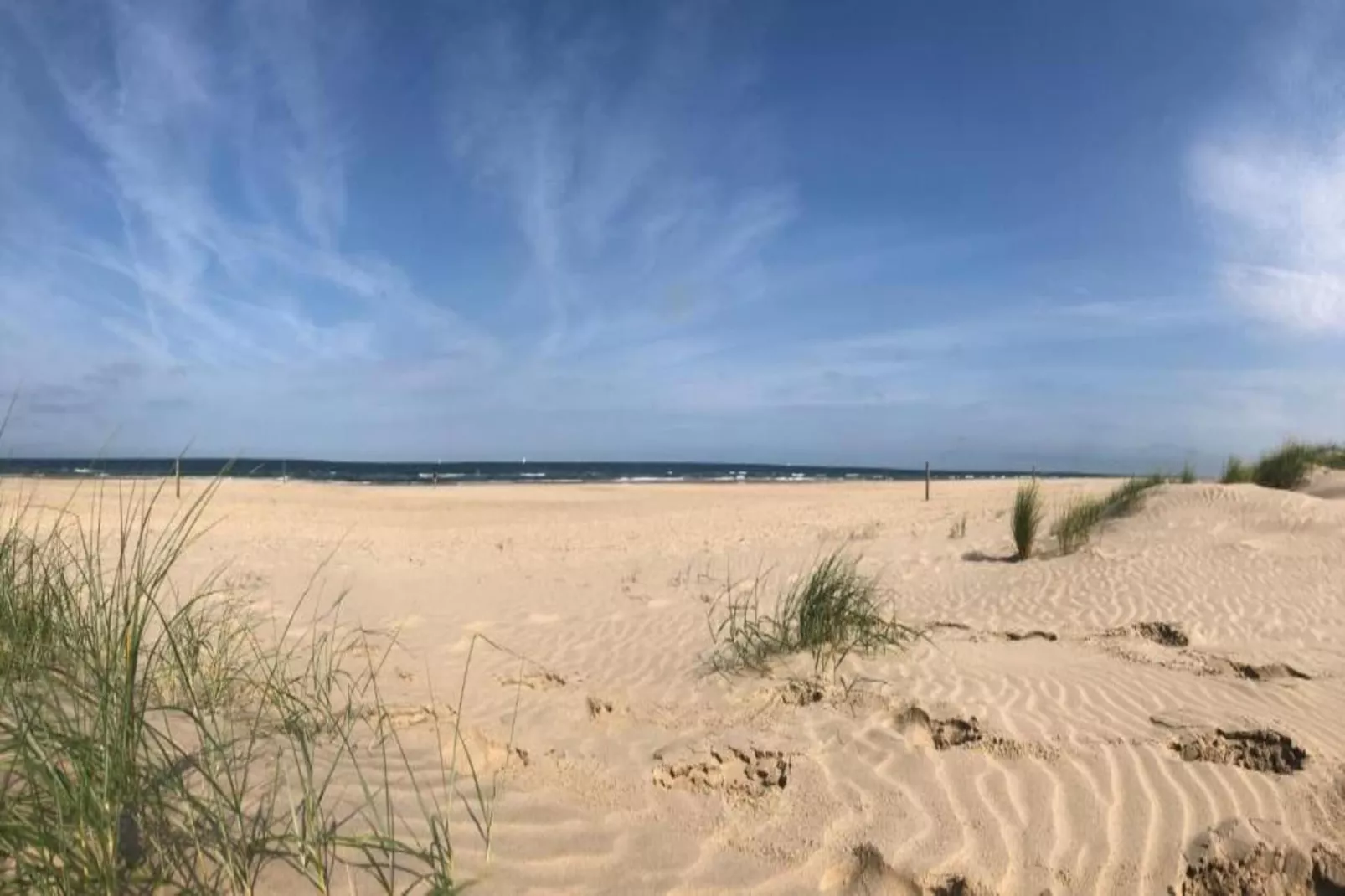 Boshof-Gebieden zomer 20km