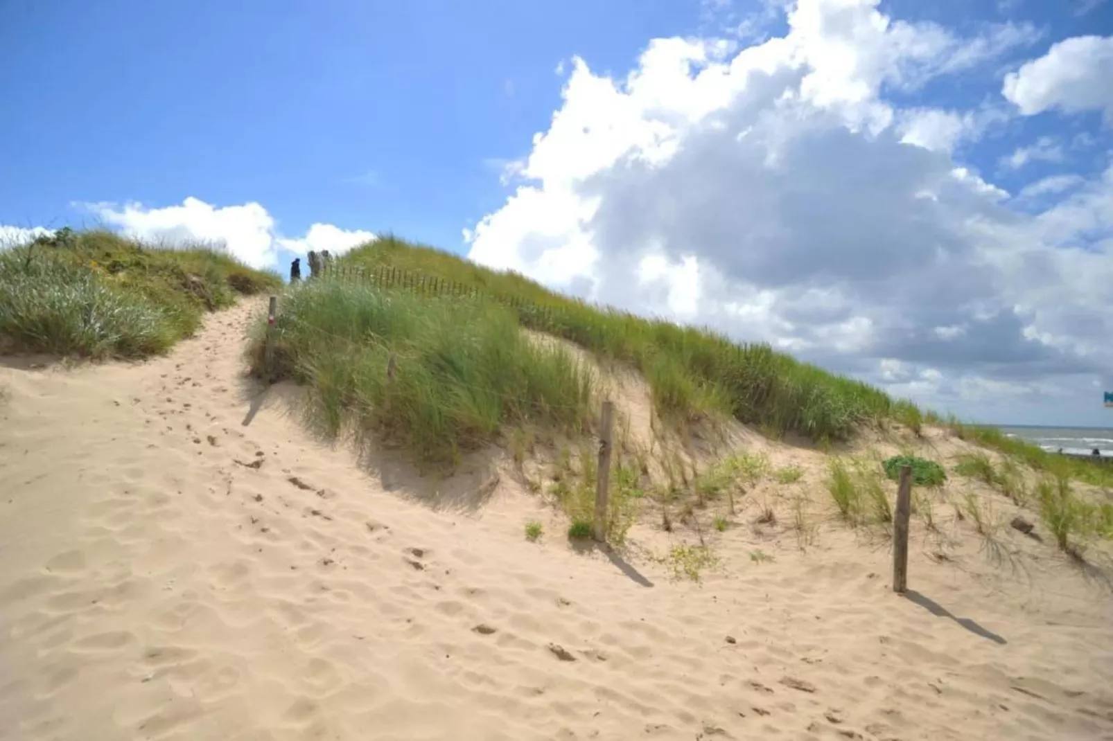 Helmgras I-Gebieden zomer 20km