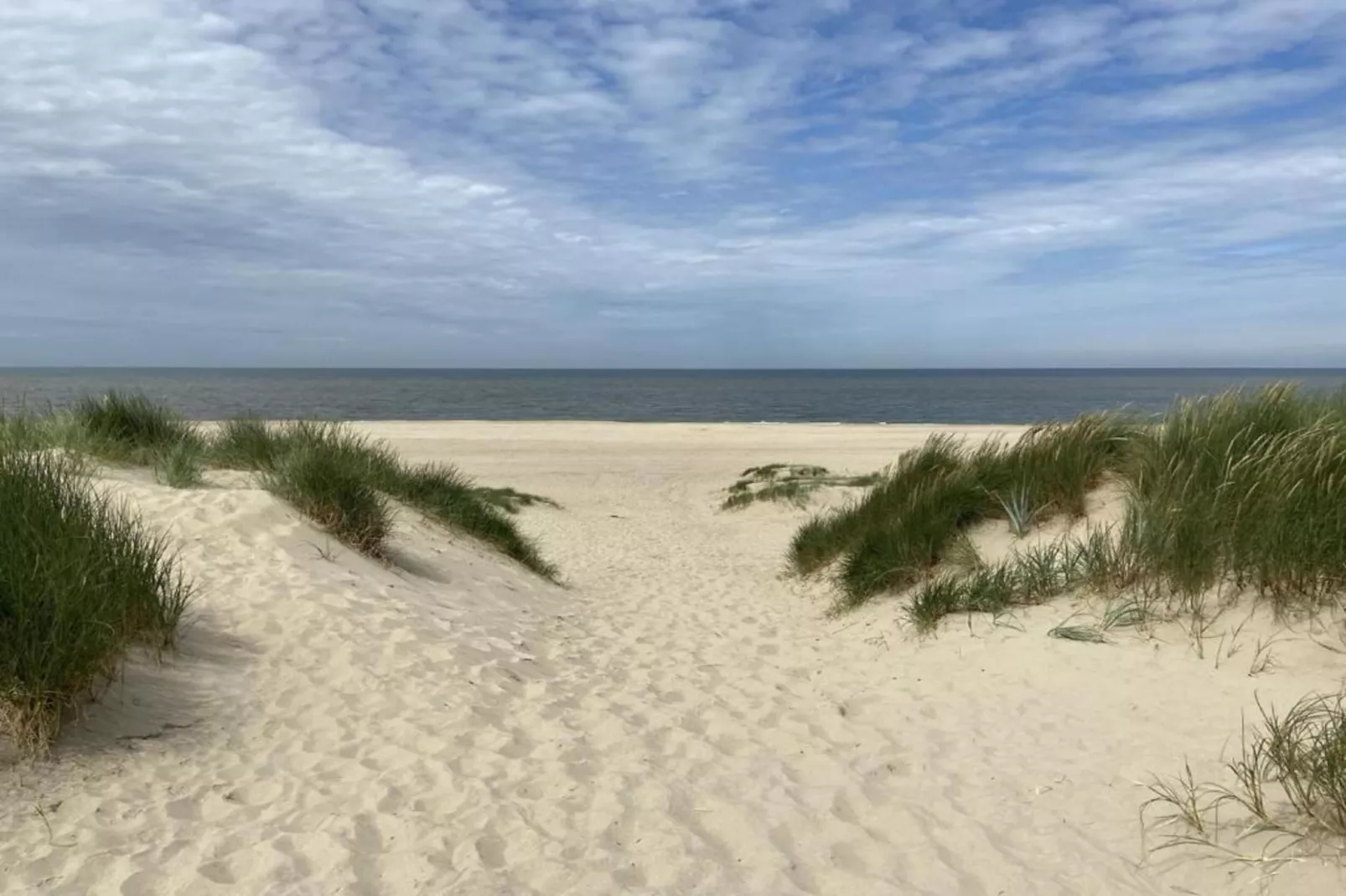 Vroondijk 2- Zeepeertje-Gebieden zomer 20km