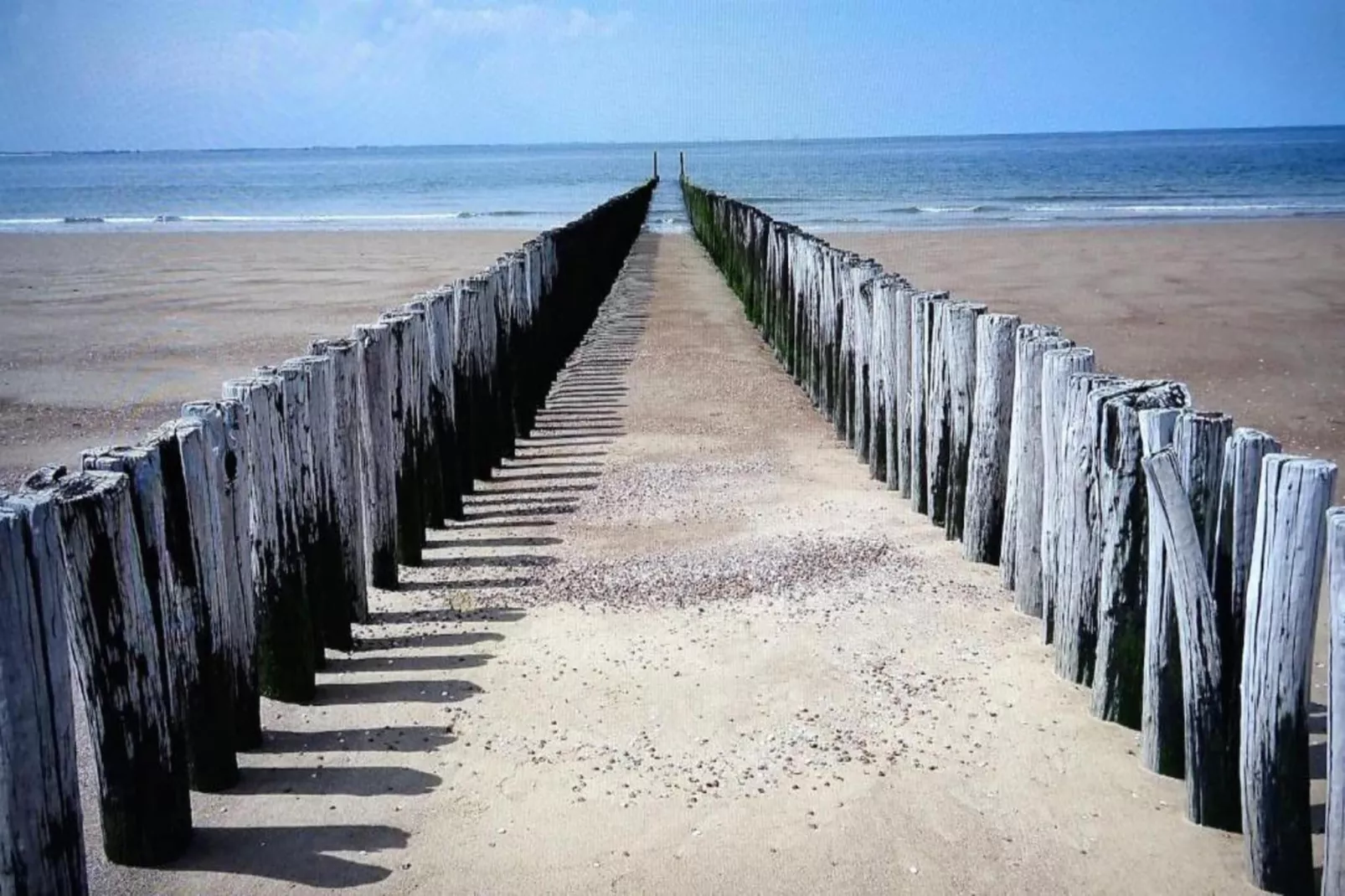 Noordzee Résidence Dishoek 11-Gebieden zomer 5km