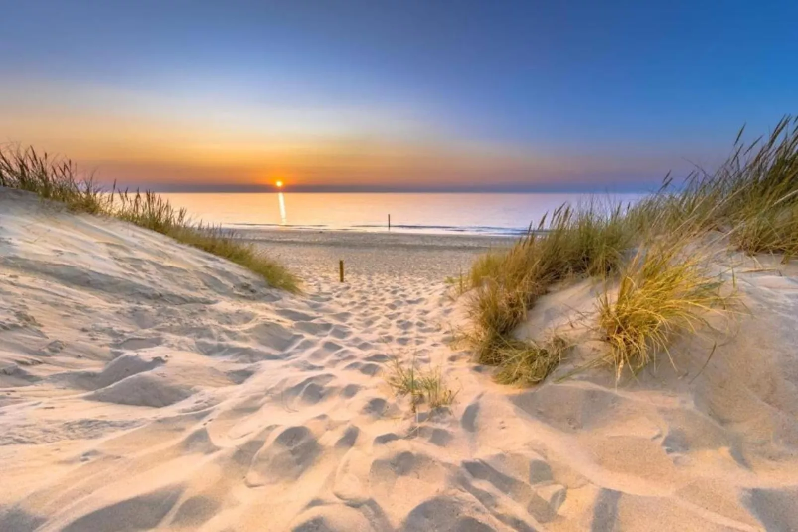 Vakantiepark Hof van Zeeland 2-Gebieden zomer 20km