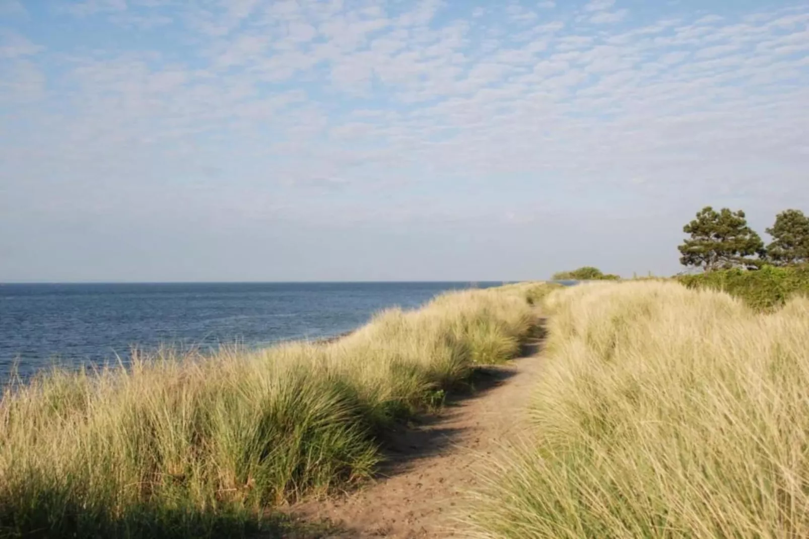 Domein het Camperveer Veerse Meer 4-Gebieden zomer 5km