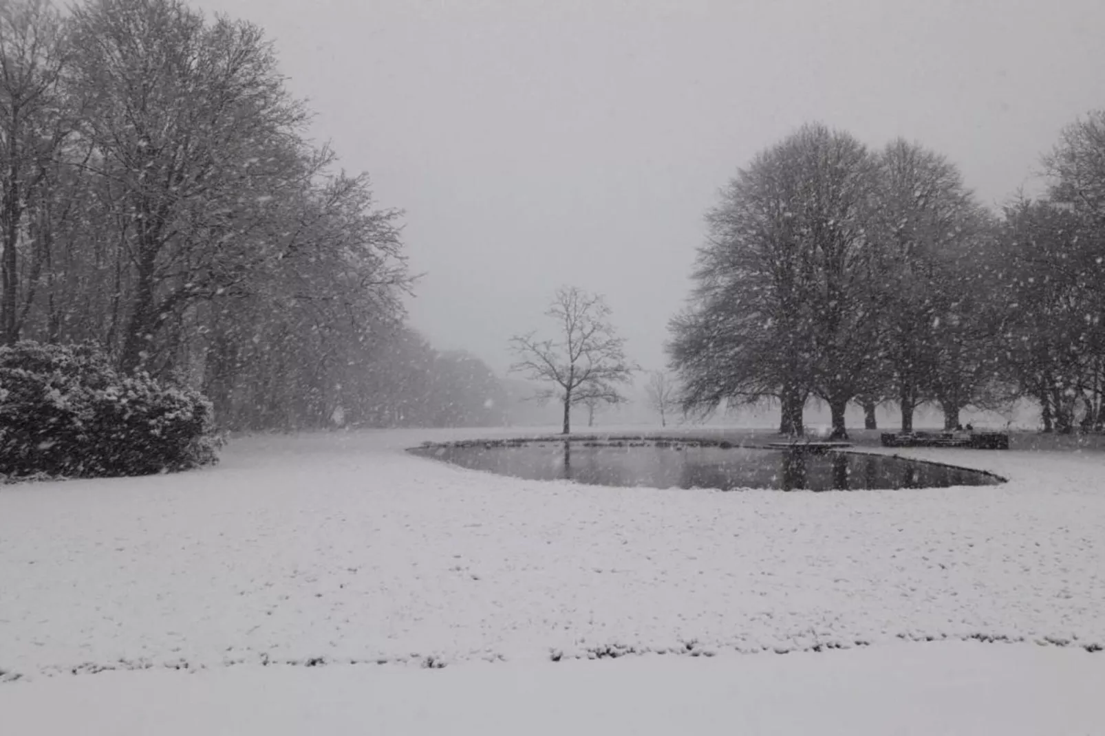 Parc de Kievit 9-Gebied winter 20km