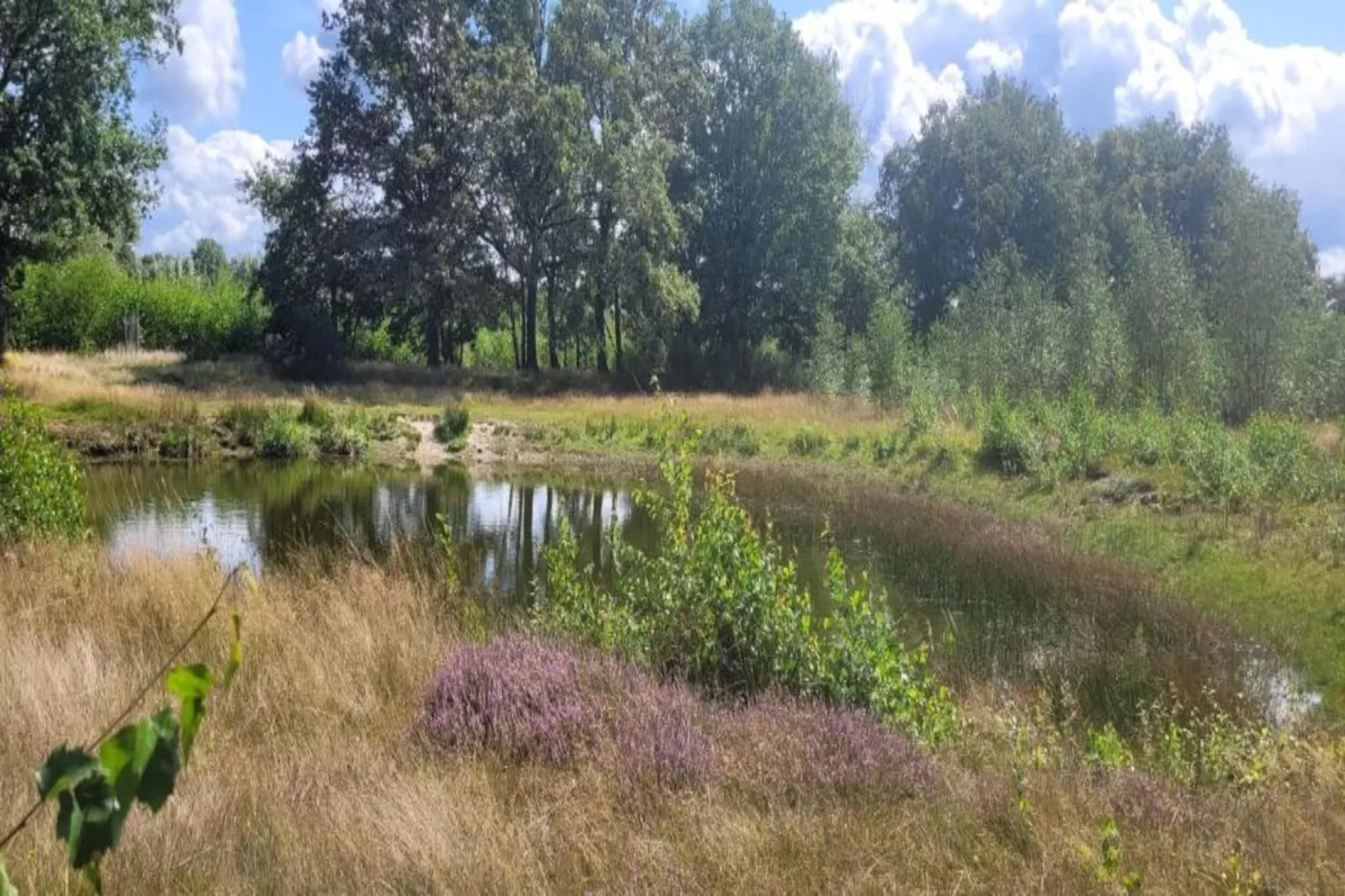 Vakantiepark Sandberghe 2-Gebieden zomer 20km