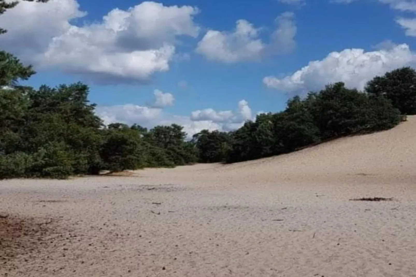 Vakantiepark Sandberghe 3-Gebieden zomer 20km