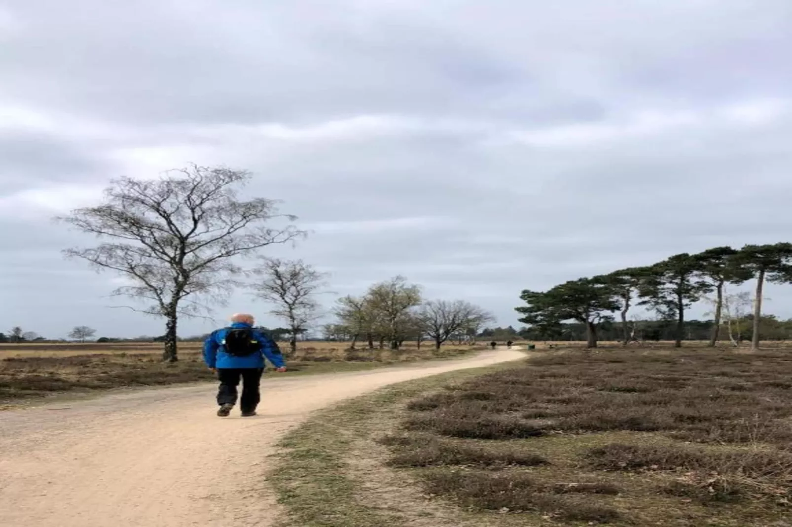 Bospark 't Wolfsven 15-Gebieden zomer 5km