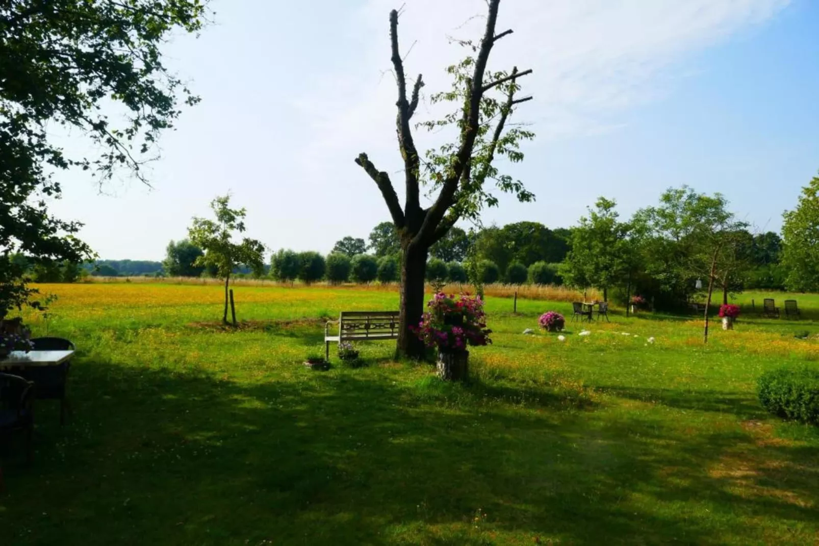 Recreatiebospark de Reehorst 1-Gebieden zomer 20km