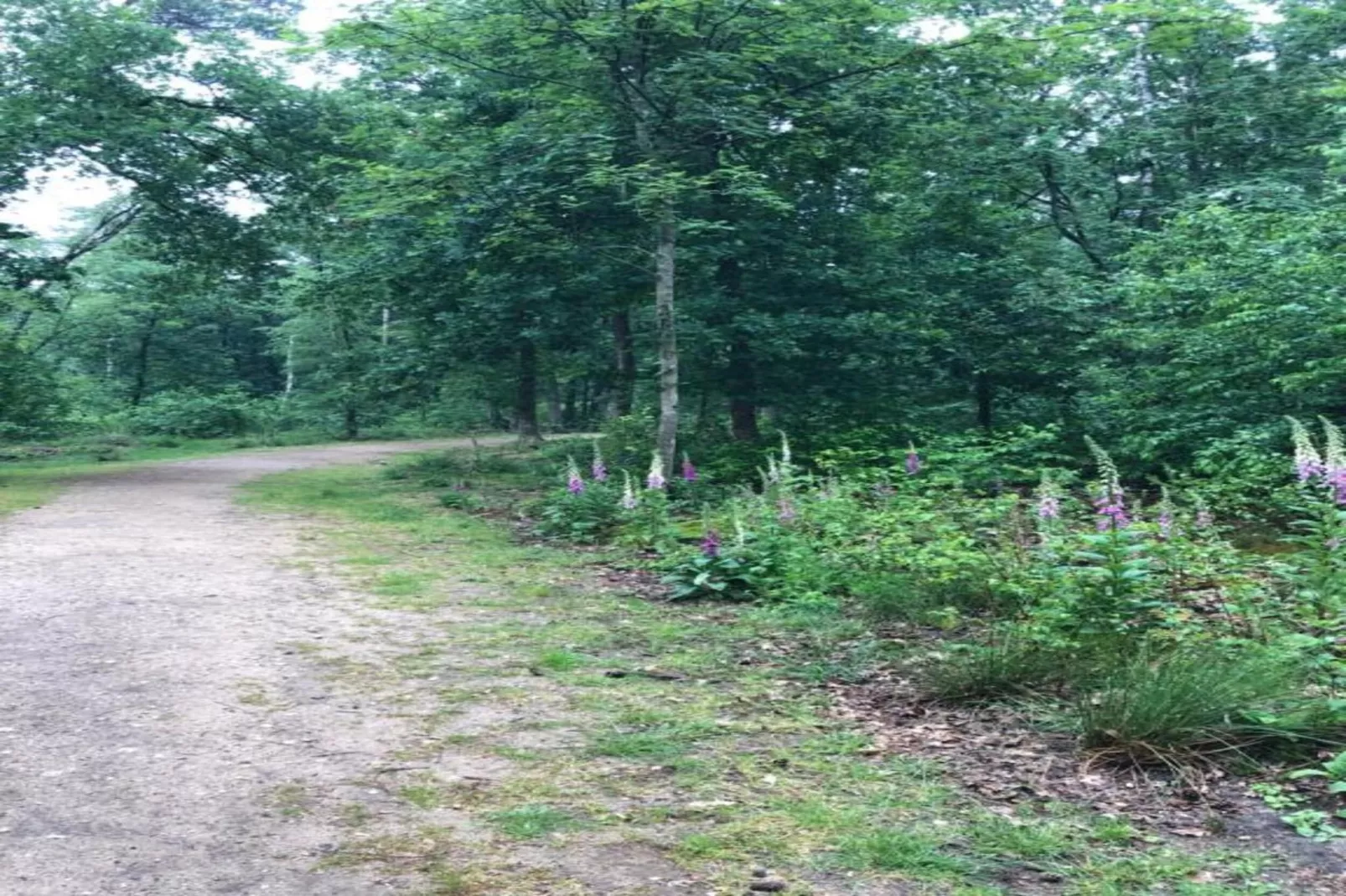 Bungalowpark Hoenderloo 3-Gebieden zomer 20km