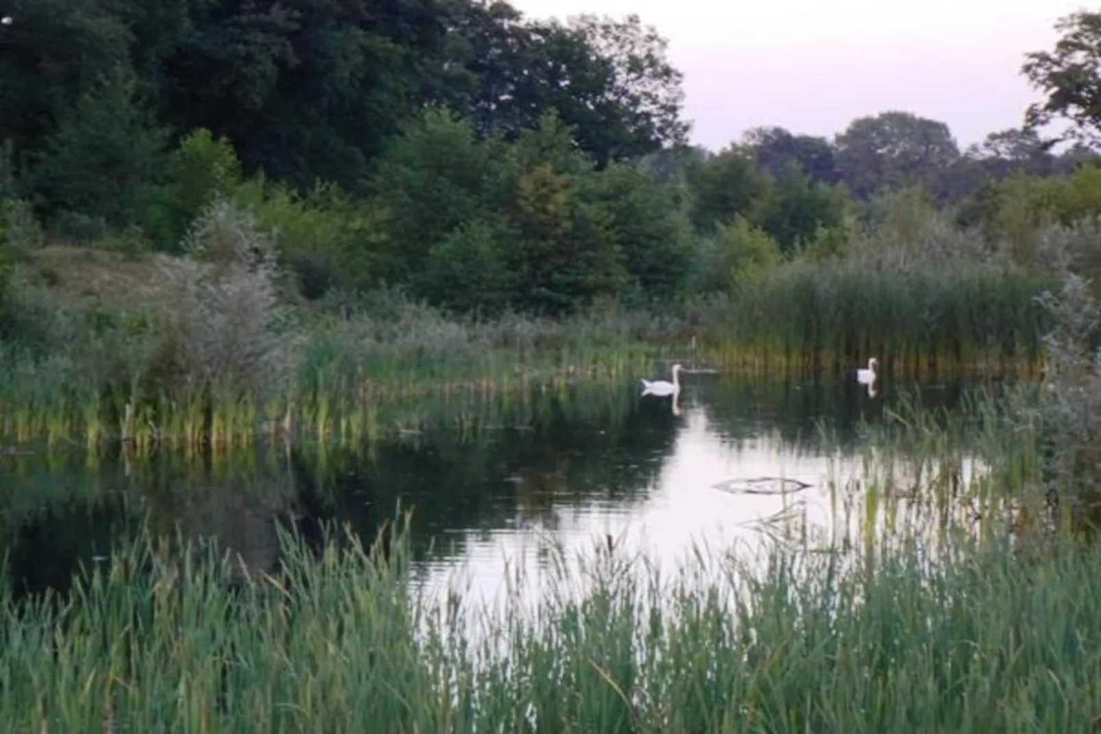 Vakantiecentrum 't Schuttenbelt 7-Gebieden zomer 20km