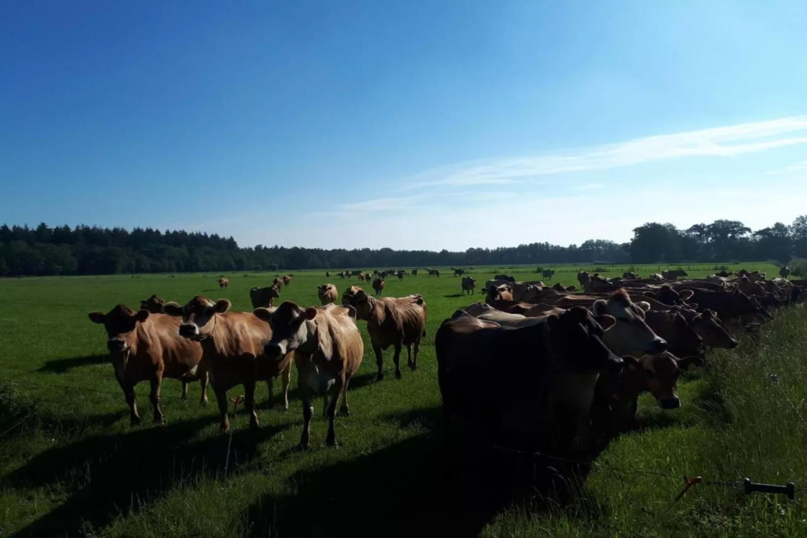 Buitenplaats Gerner 4-Gebieden zomer 20km