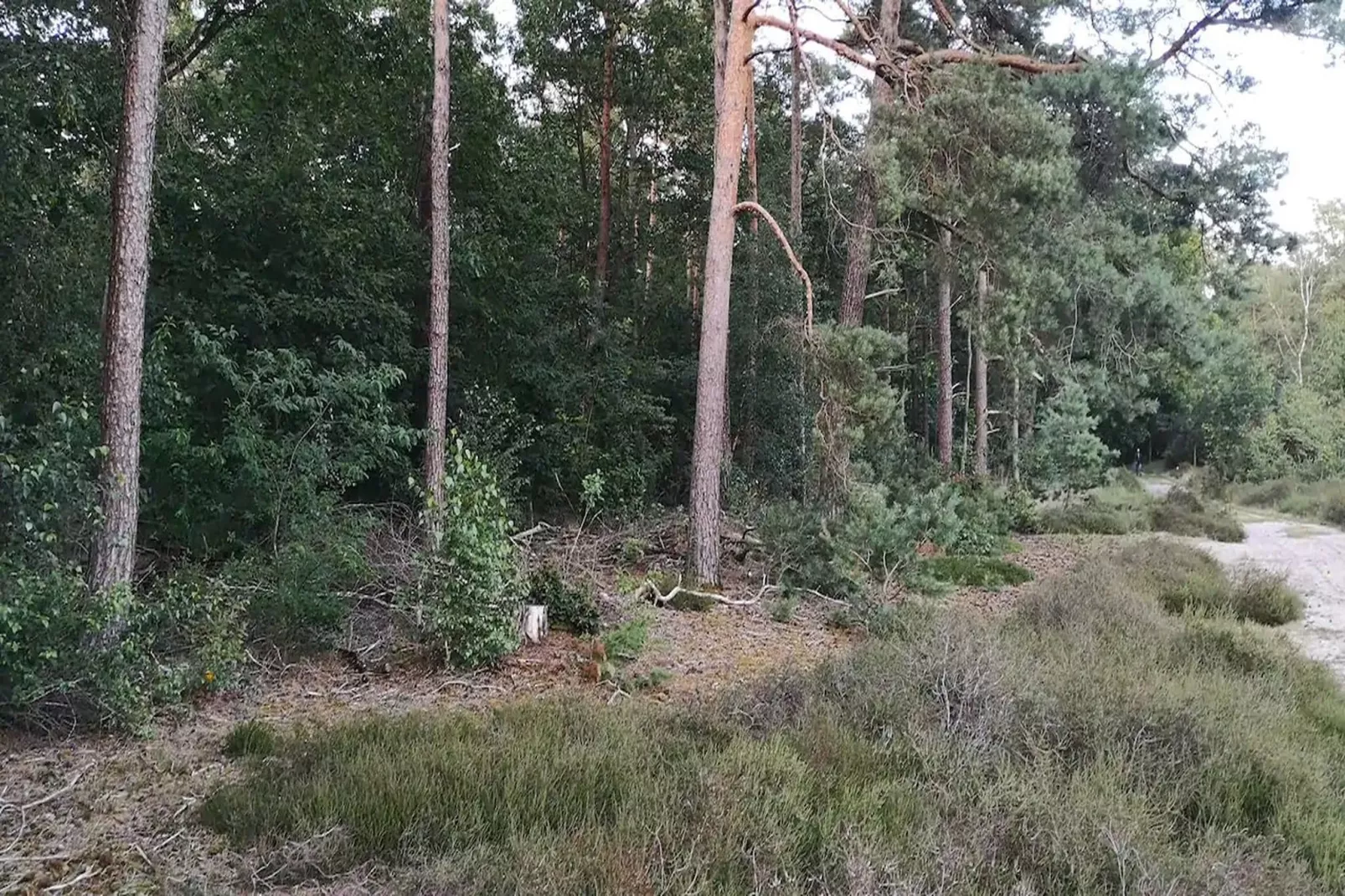 Huisje 84-Gebieden zomer 5km