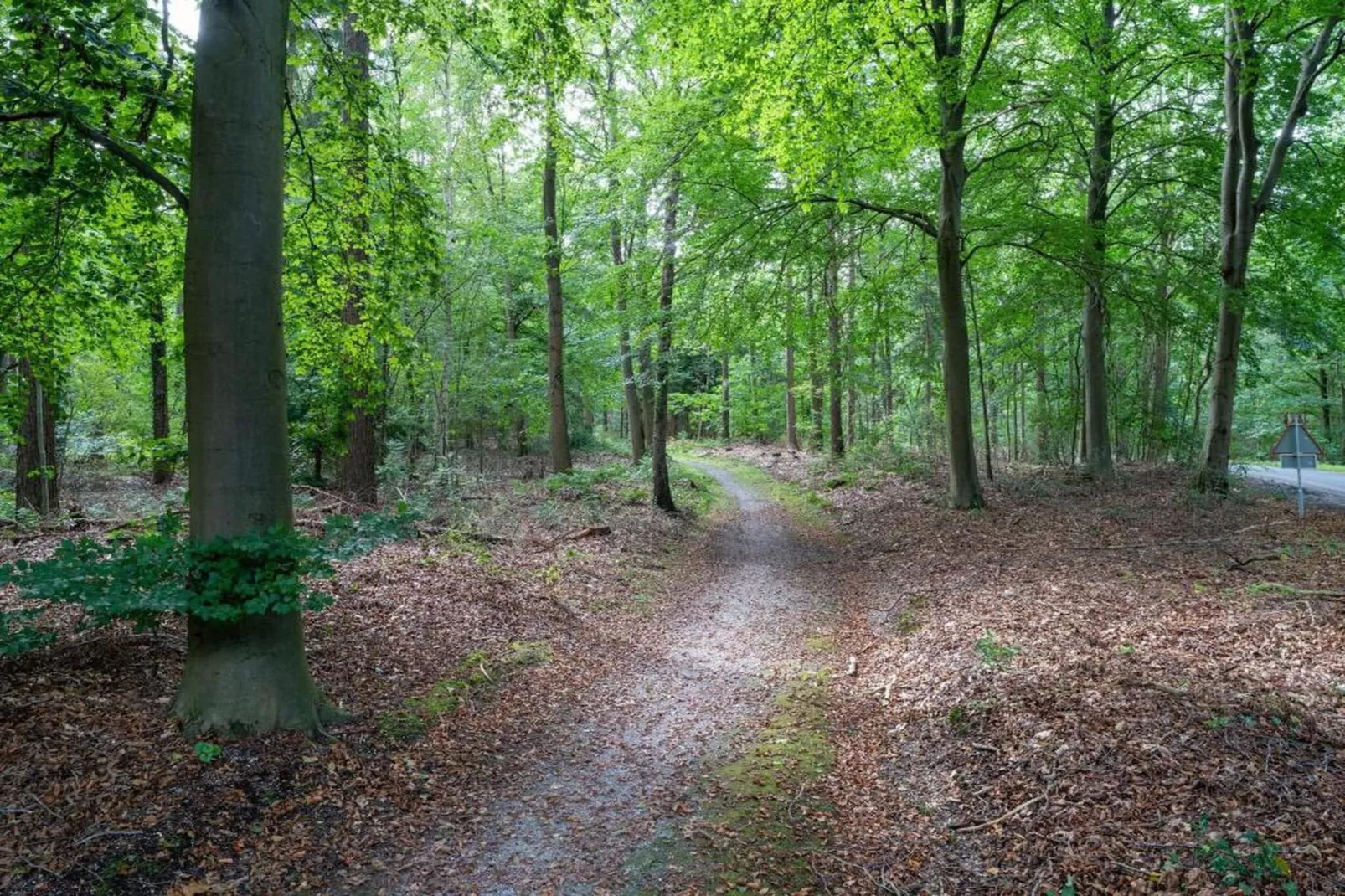 Vakantiepark Horsetellerie 1-Gebieden zomer 20km