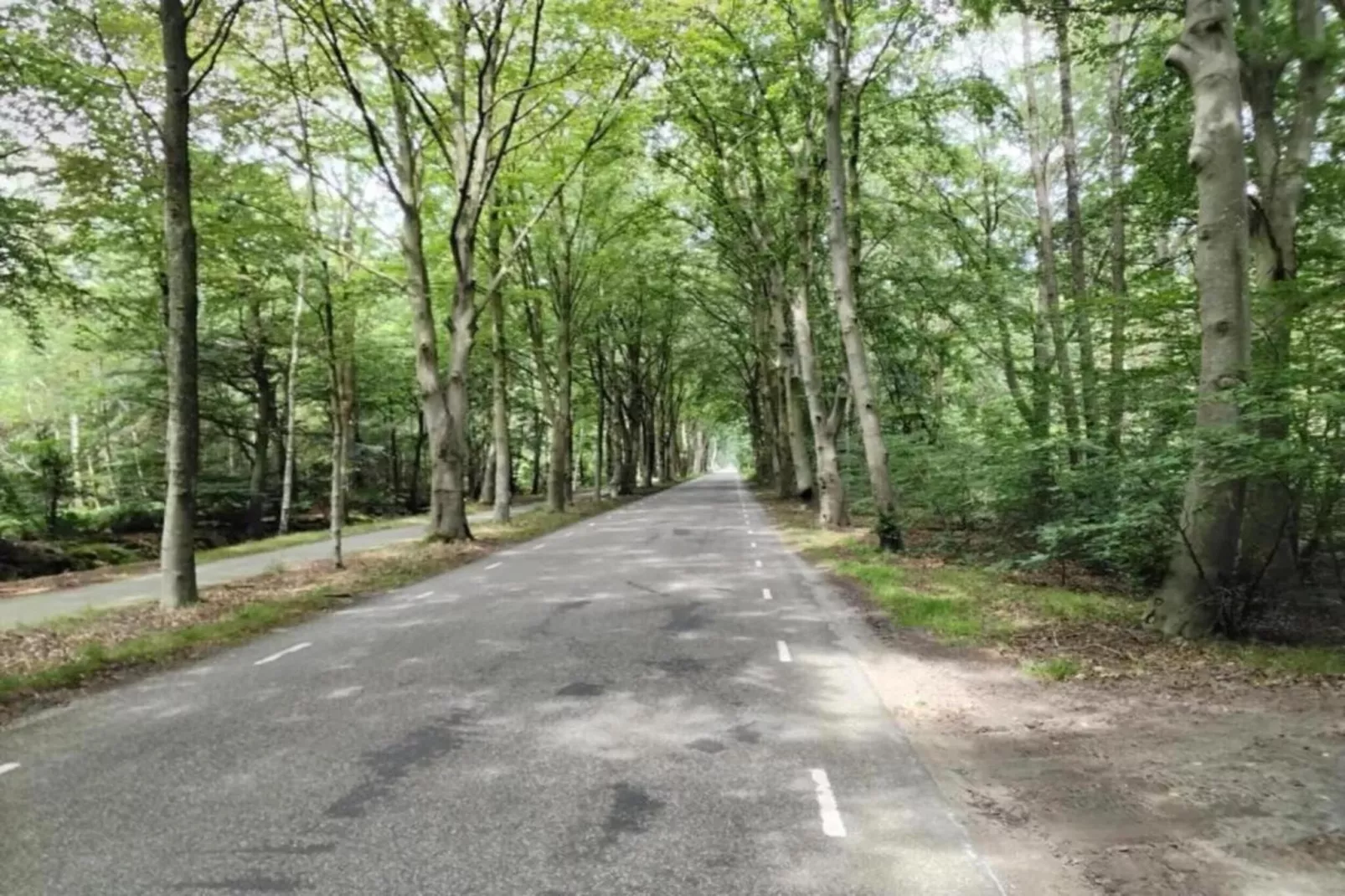 Lyts Sypenstien-Gebieden zomer 5km