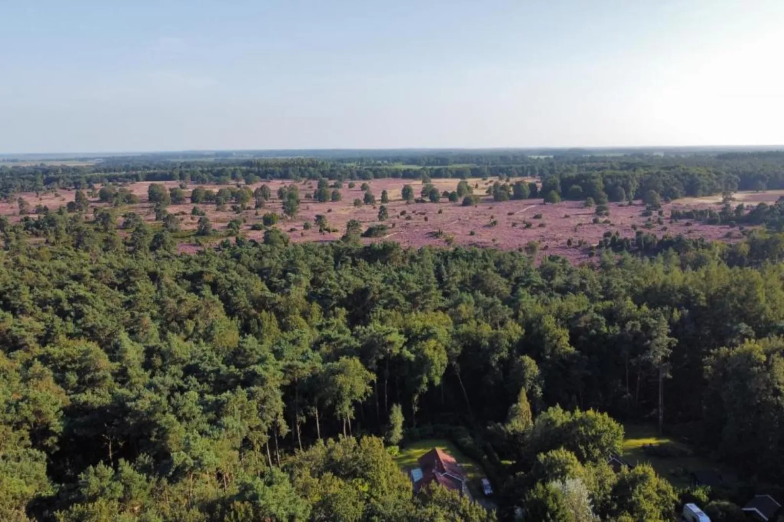 Bospark Lunsbergen 5-Gebieden zomer 20km