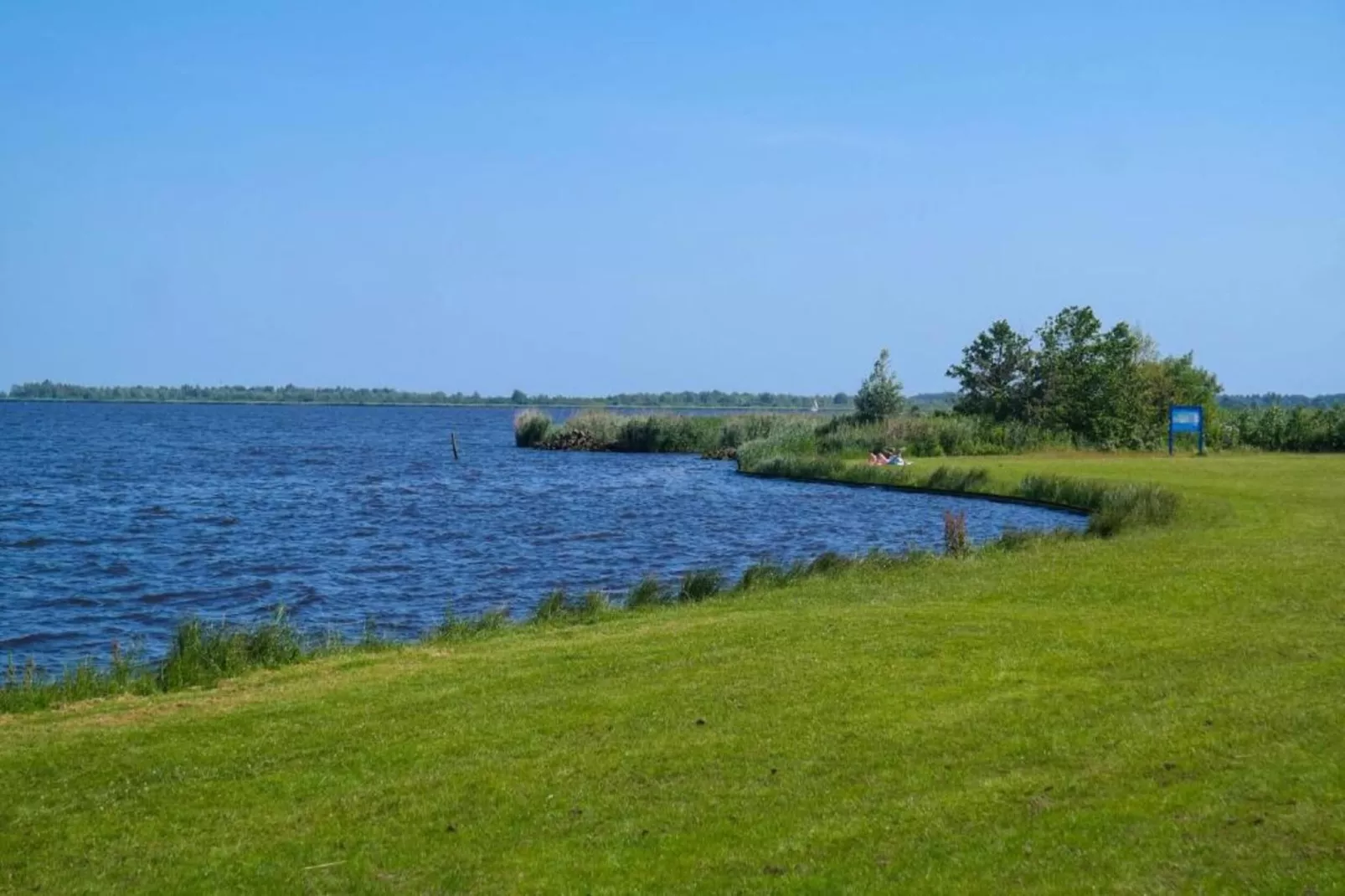 De Scholekster-Gebieden zomer 5km