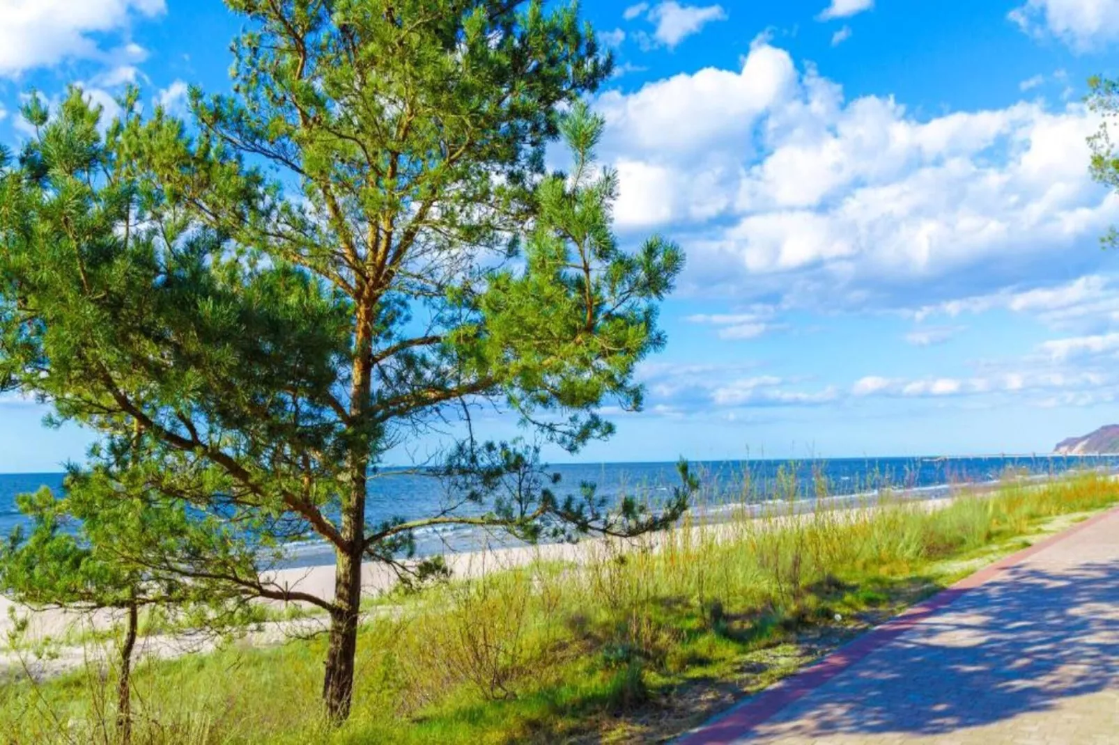 Kreacja Pajka Patrycja Pyrka-Gebieden zomer 20km