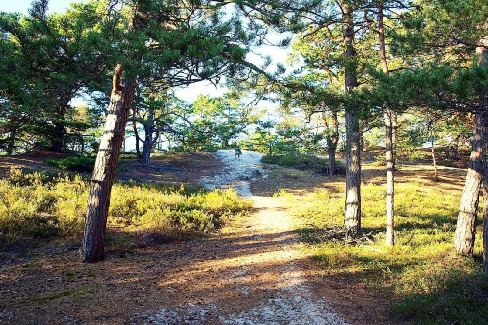 Holiday Home Kopalino-Gebieden zomer 5km