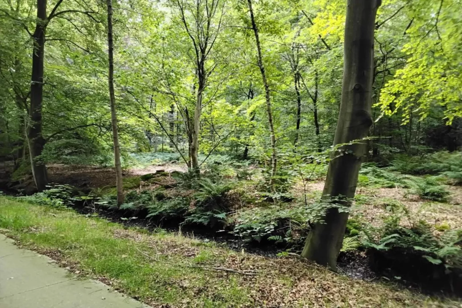 Recreatiepark Idskenhuizen 1-Gebieden zomer 20km