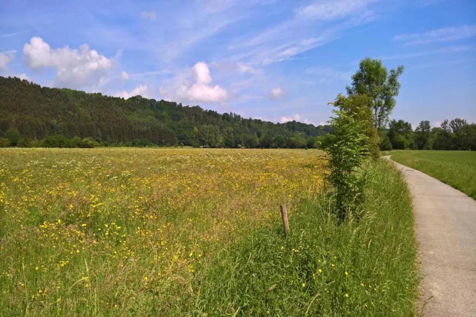 Ard' View-Gebieden zomer 20km