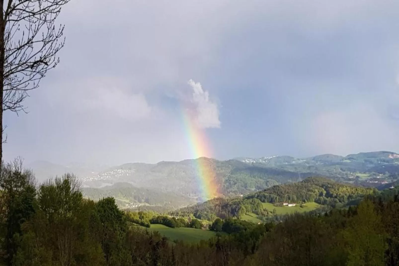 Ferienhaus Weitblick-Gebieden zomer 20km