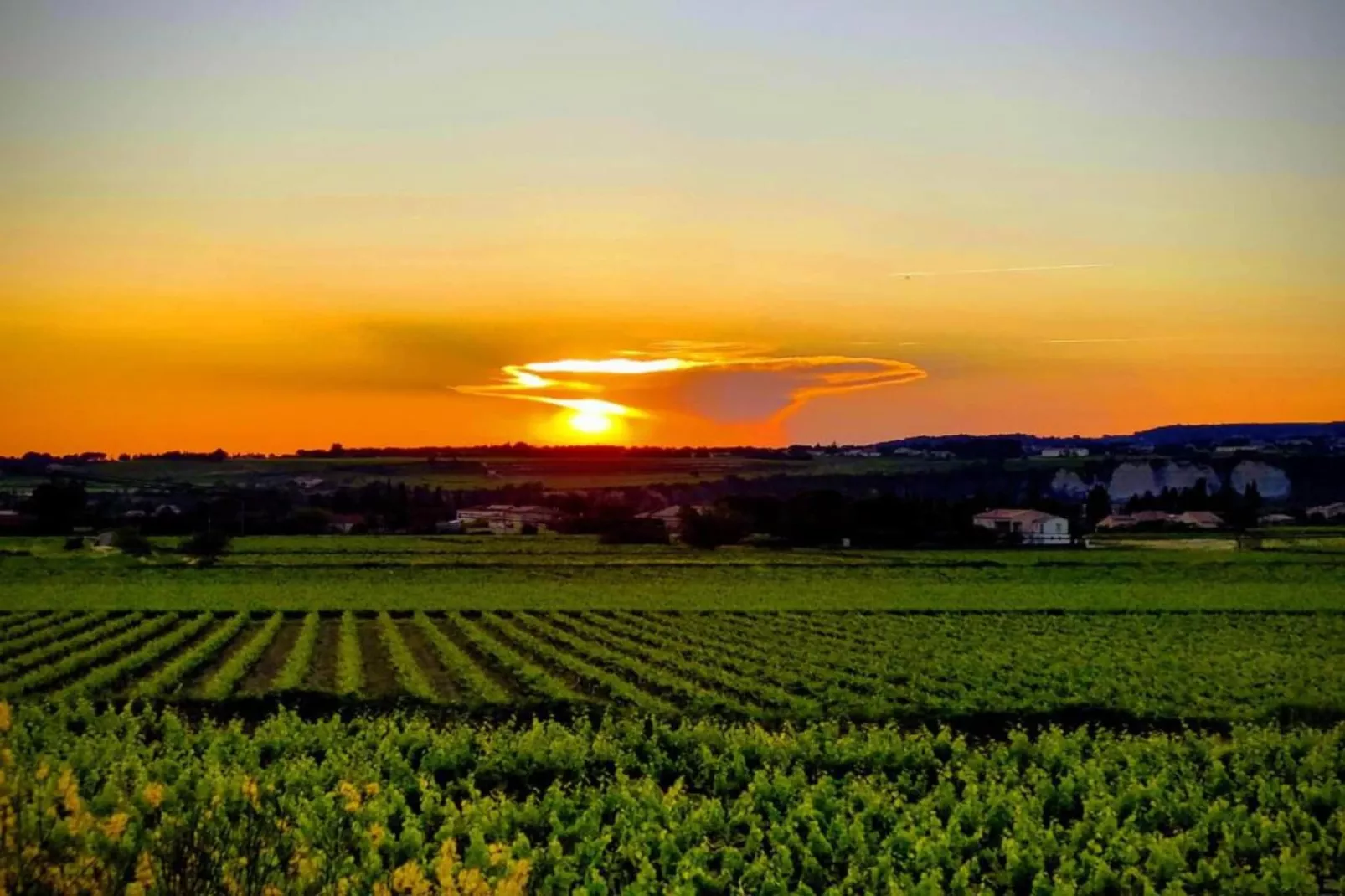 Laurence-Gebieden zomer 20km