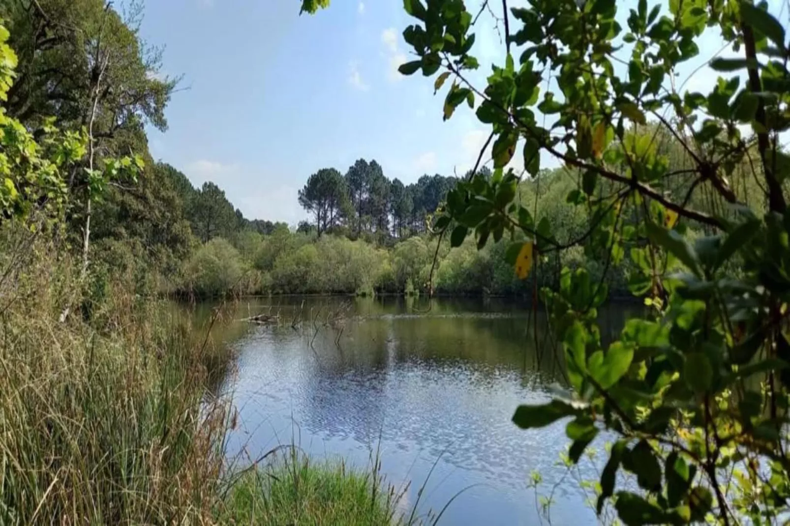 Villas Club Royal Aquitaine 3-Gebieden zomer 20km