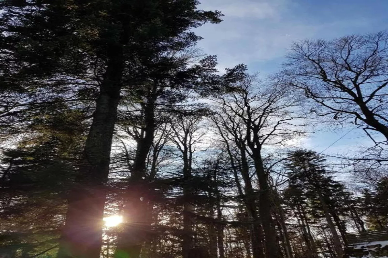 	Holiday flats Haus am Wald Zenting-Wohnung für 2 Personen-Gebieden zomer 20km