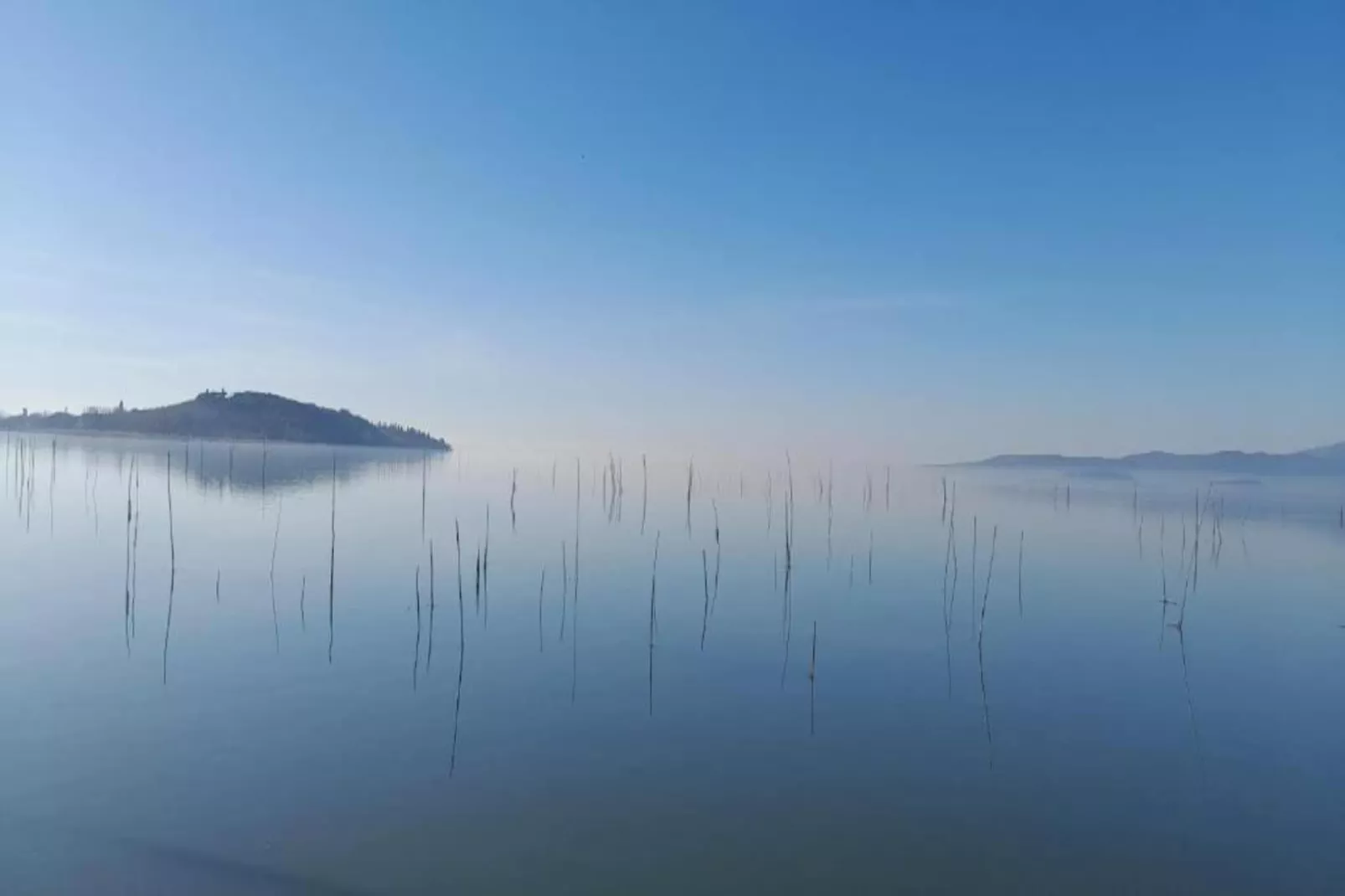 Frantoio 2-Gebieden zomer 5km