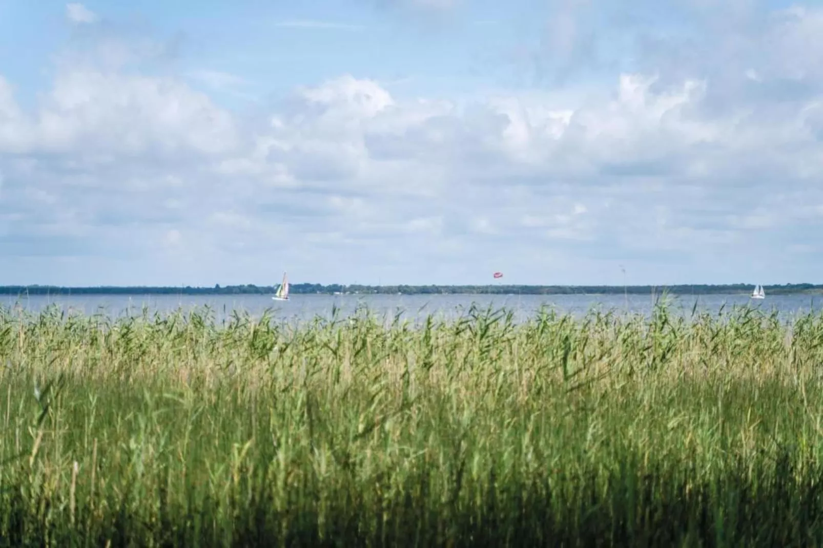 Résidence les Hameaux de l'Océan 1-Gebieden zomer 20km