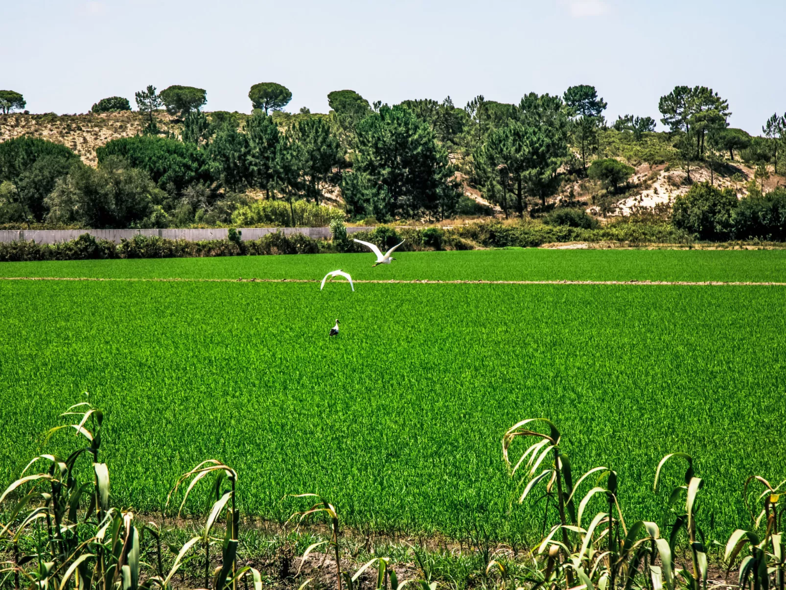Quinta de Santa Emilia 3-Omgeving