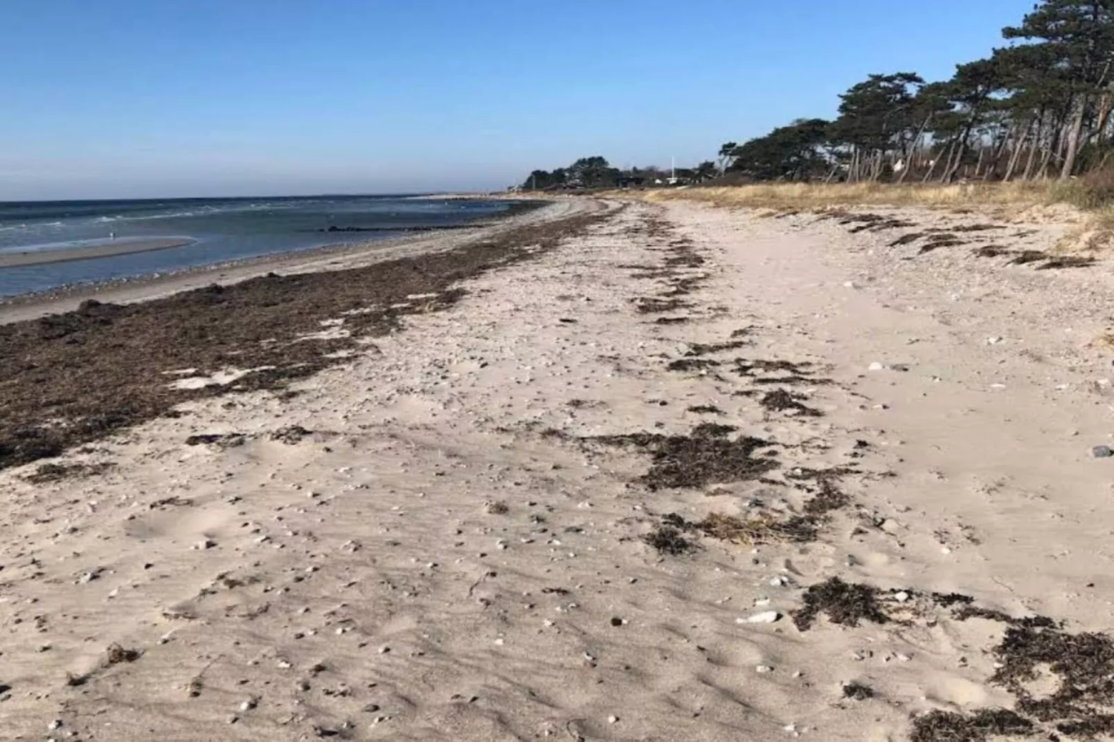 4 persoons vakantie huis in Slagelse-By Traum-Waterzicht