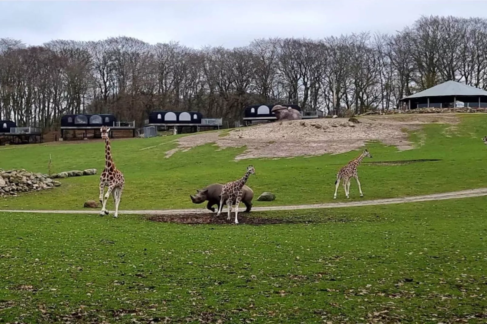 Vakantiehuis in Ebeltoft met dakterras-Niet-getagd