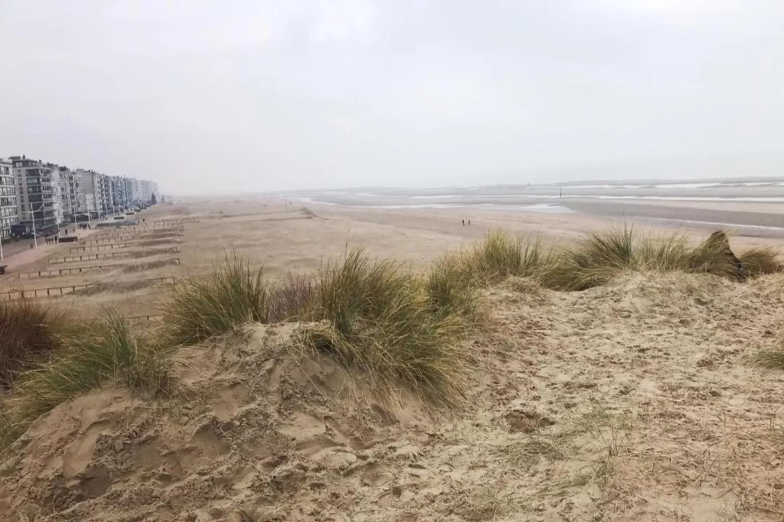 Fibi Home-Gebieden zomer 1km