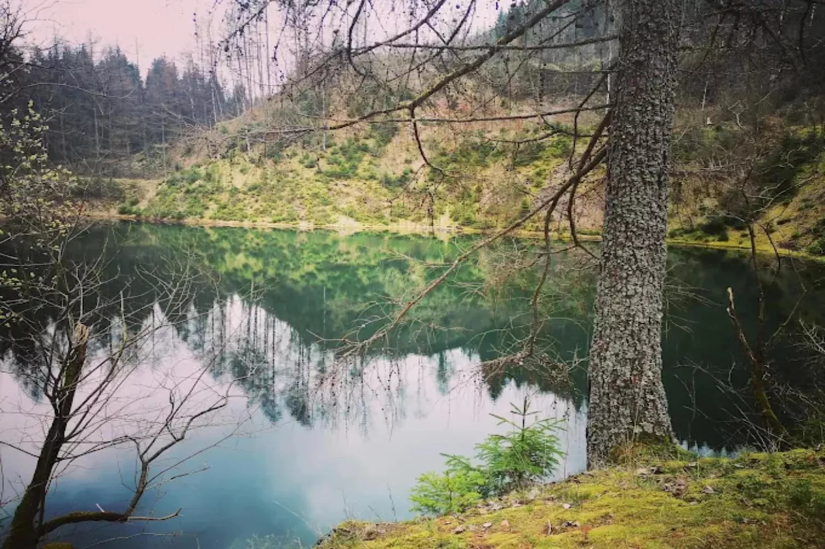 Ferienapartment Frosch in Wildemann Harz-Gebieden zomer 5km