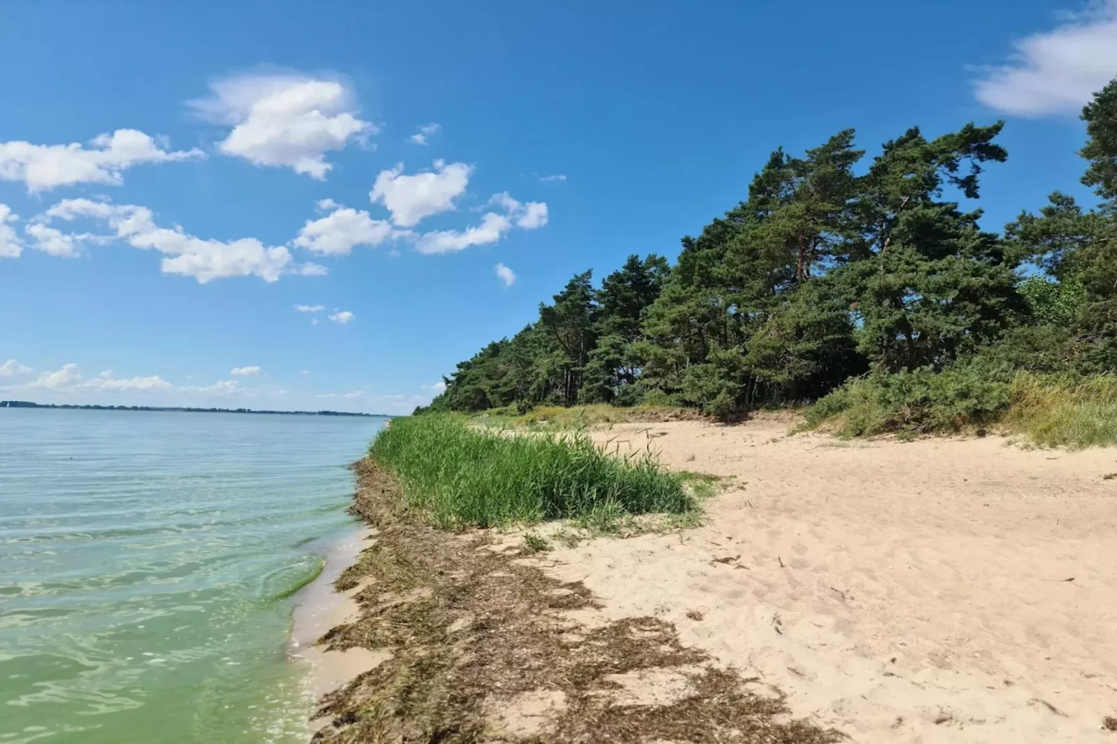 Gutshaus Zicker -Wohnung 3-Gebieden zomer 5km