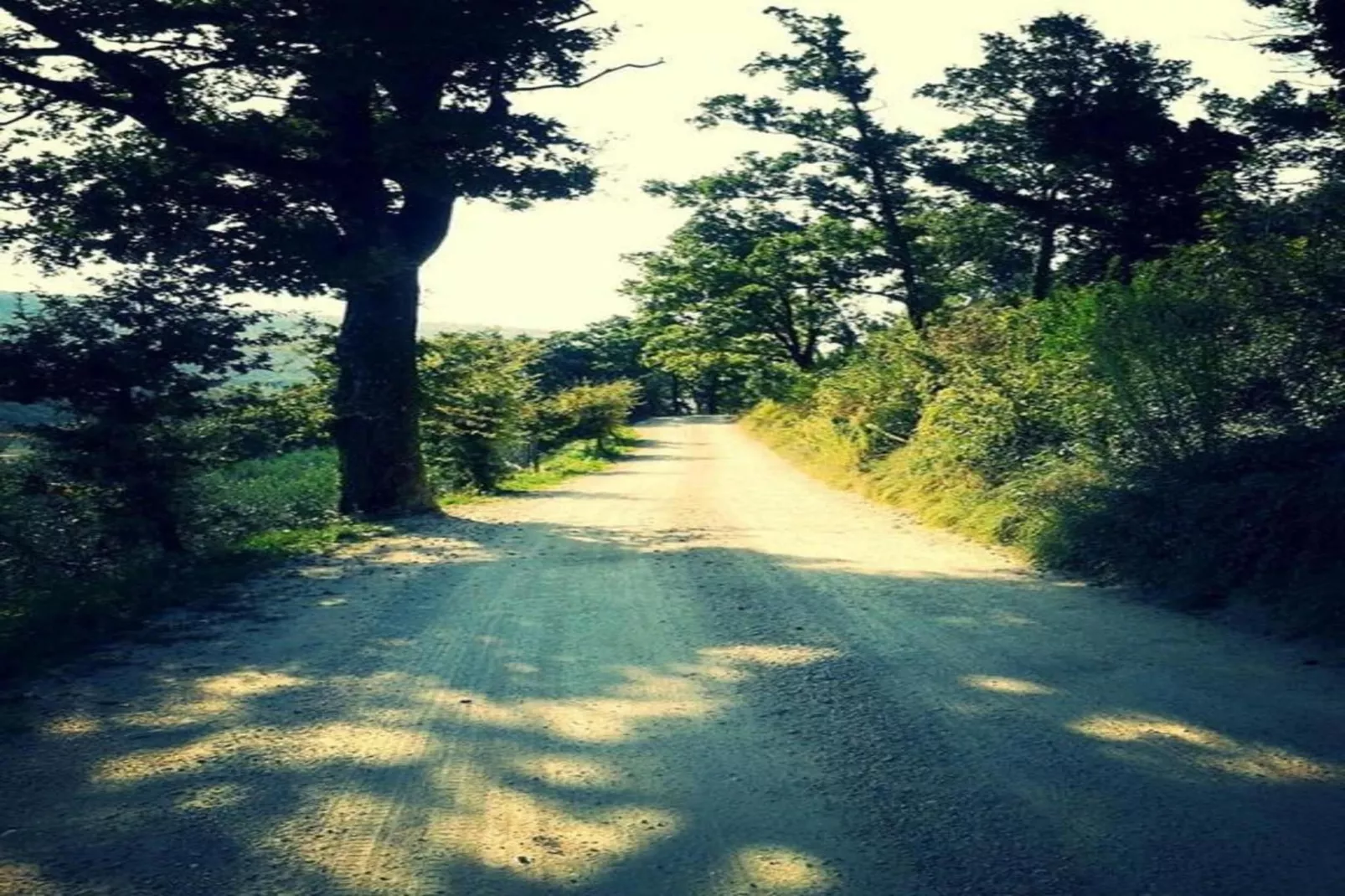 Trilocale-Gebieden zomer 20km