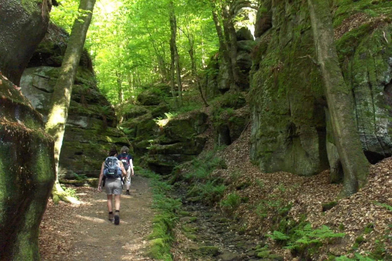 Camping Nommerlayen 1-Gebieden zomer 20km