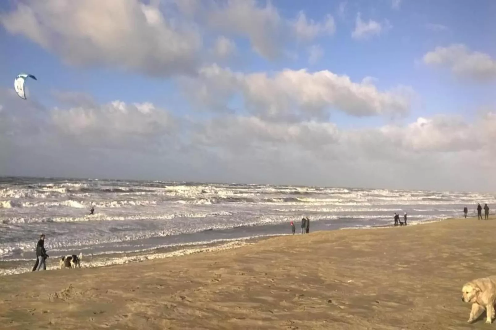 Resort Beach Houses Wijk aan Zee 5-Gebieden zomer 20km