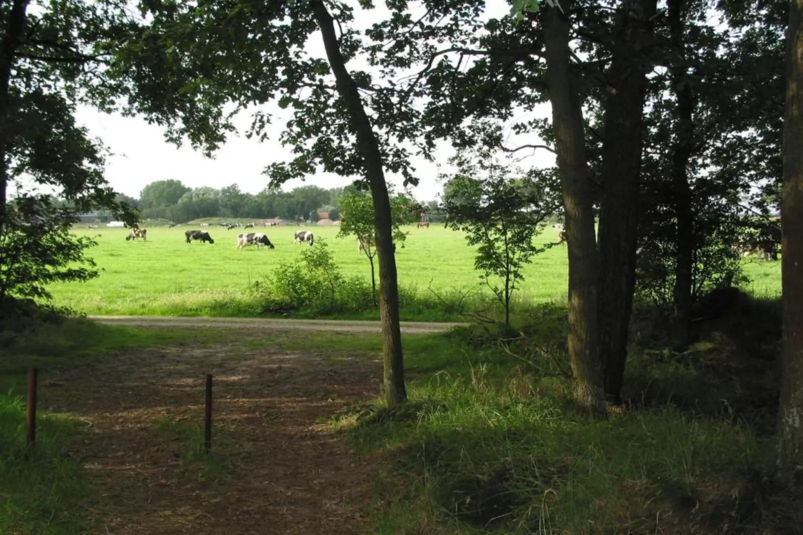 Vakantiepark Schaijk 11-Gebieden zomer 5km