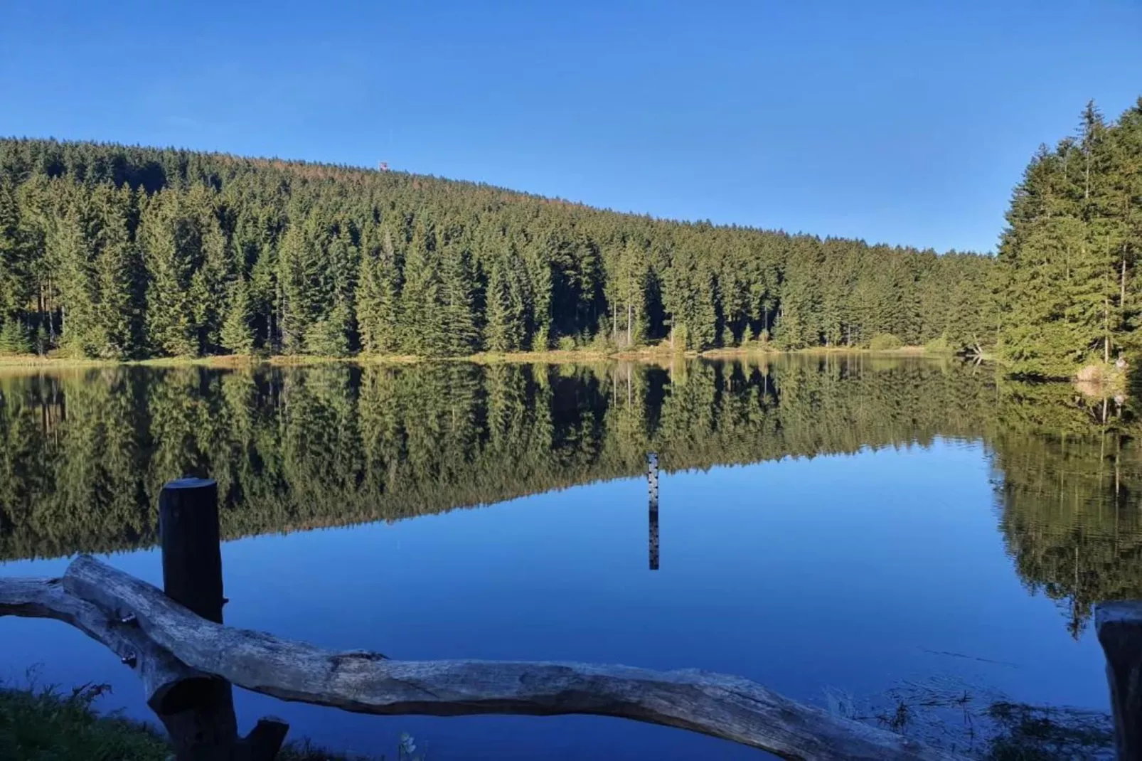 Ferienwohnung Bockwiese-Hahnenklee-Gebieden zomer 20km