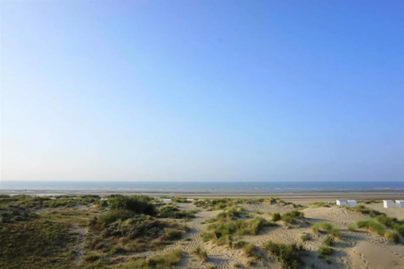 PLAZA G/2634 - Gebieden zomer 5km
